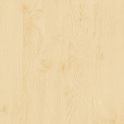 Birch Wood Contact Paper